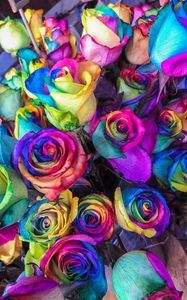 Preview wallpaper roses, colorful, bouquet, colourful