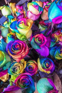 Preview wallpaper roses, colorful, bouquet, colourful