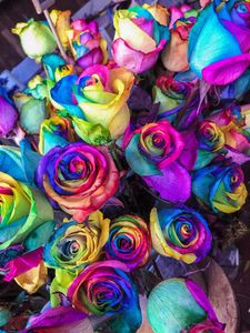 Preview wallpaper roses, colorful, bouquet, colourful