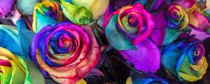 Preview wallpaper roses, colorful, bouquet, colourful