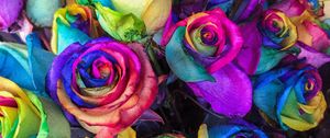 Preview wallpaper roses, colorful, bouquet, colourful