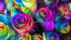 Preview wallpaper roses, colorful, bouquet, colourful