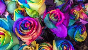 Preview wallpaper roses, colorful, bouquet, colourful