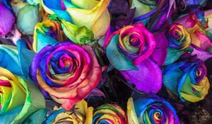 Preview wallpaper roses, colorful, bouquet, colourful