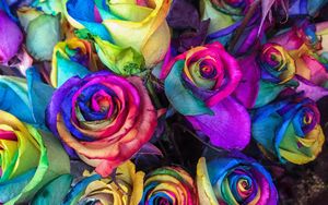 Preview wallpaper roses, colorful, bouquet, colourful