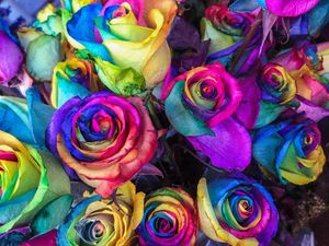 Preview wallpaper roses, colorful, bouquet, colourful