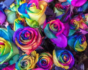 Preview wallpaper roses, colorful, bouquet, colourful