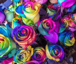 Preview wallpaper roses, colorful, bouquet, colourful