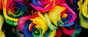 Preview wallpaper roses, colorful, rainbow