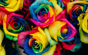 Preview wallpaper roses, colorful, rainbow