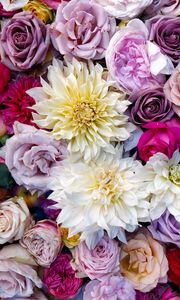 Preview wallpaper roses, dahlias, bouquet, composition, multicolored