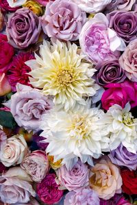 Preview wallpaper roses, dahlias, bouquet, composition, multicolored