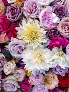 Preview wallpaper roses, dahlias, bouquet, composition, multicolored