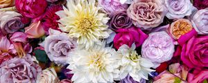 Preview wallpaper roses, dahlias, bouquet, composition, multicolored