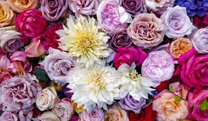 Preview wallpaper roses, dahlias, bouquet, composition, multicolored