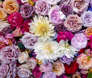 Preview wallpaper roses, dahlias, bouquet, composition, multicolored