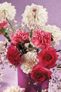 Preview wallpaper roses, dahlias, carnations, flowers, bouquet, vase, beauty