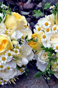 Preview wallpaper roses, daisies, flowers, bouquets, pair, green, beautifully
