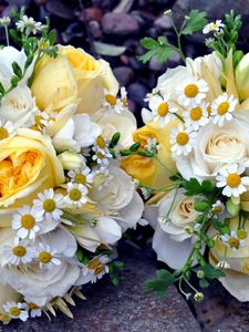 Preview wallpaper roses, daisies, flowers, bouquets, pair, green, beautifully