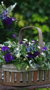 Preview wallpaper roses, daisies, flowers, basket, table, green, composition