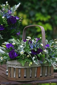 Preview wallpaper roses, daisies, flowers, basket, table, green, composition