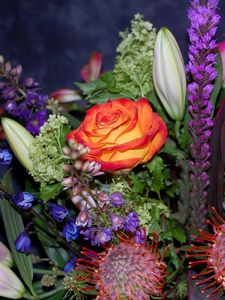 Preview wallpaper roses, delphinium, proteus, bouquet, greens, composition