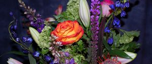 Preview wallpaper roses, delphinium, proteus, bouquet, greens, composition