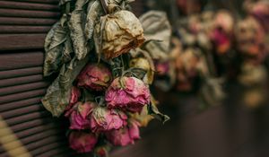 Preview wallpaper roses, dry, herbarium