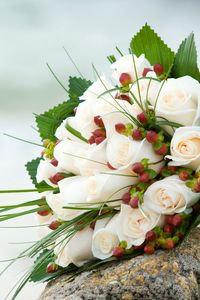 Preview wallpaper roses, flower, grass, stones, rope, beauty