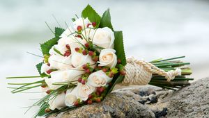 Preview wallpaper roses, flower, grass, stones, rope, beauty