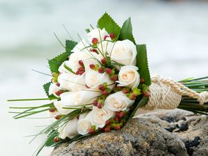 Preview wallpaper roses, flower, grass, stones, rope, beauty