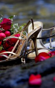 Preview wallpaper roses, flower, petals, romance, shoes