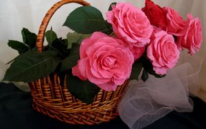 Preview wallpaper roses, flowers, basket, scarf