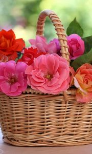 Preview wallpaper roses, flowers, basket, table, blur, china