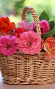 Preview wallpaper roses, flowers, basket, table, blur, china