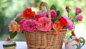 Preview wallpaper roses, flowers, basket, table, blur, china