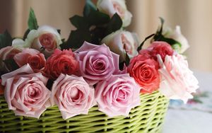 Preview wallpaper roses, flowers, basket, sharpness