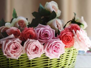 Preview wallpaper roses, flowers, basket, sharpness