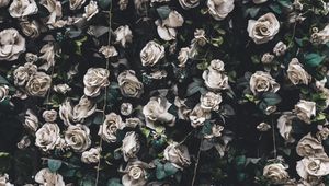 Preview wallpaper roses, flowers, bloom, garland
