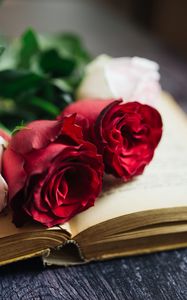 Preview wallpaper roses, flowers, book, pages, aesthetics