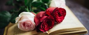 Preview wallpaper roses, flowers, book, pages, aesthetics