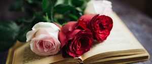 Preview wallpaper roses, flowers, book, pages, aesthetics