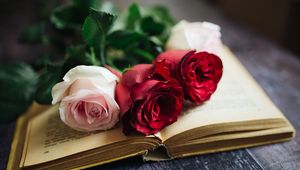 Preview wallpaper roses, flowers, book, pages, aesthetics