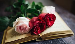 Preview wallpaper roses, flowers, book, pages, aesthetics