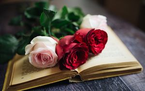 Preview wallpaper roses, flowers, book, pages, aesthetics