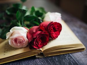 Preview wallpaper roses, flowers, book, pages, aesthetics