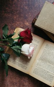Preview wallpaper roses, flowers, book, aesthetics