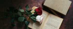 Preview wallpaper roses, flowers, book, aesthetics