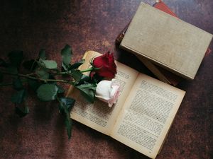 Preview wallpaper roses, flowers, book, aesthetics