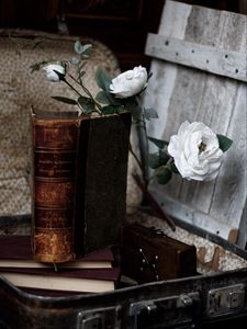 Preview wallpaper roses, flowers, book, vintage, aesthetics